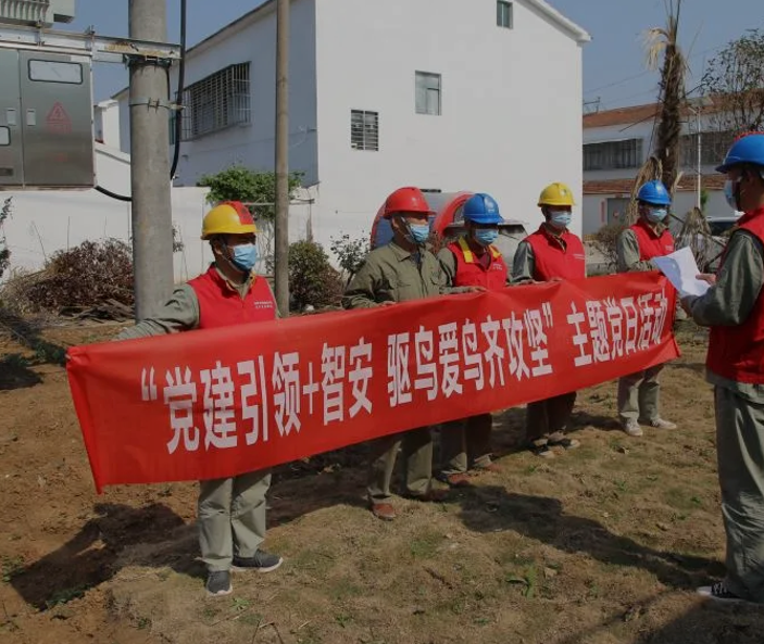 用電安全，湖北襄州供電新型驅(qū)鳥器上崗執(zhí)勤